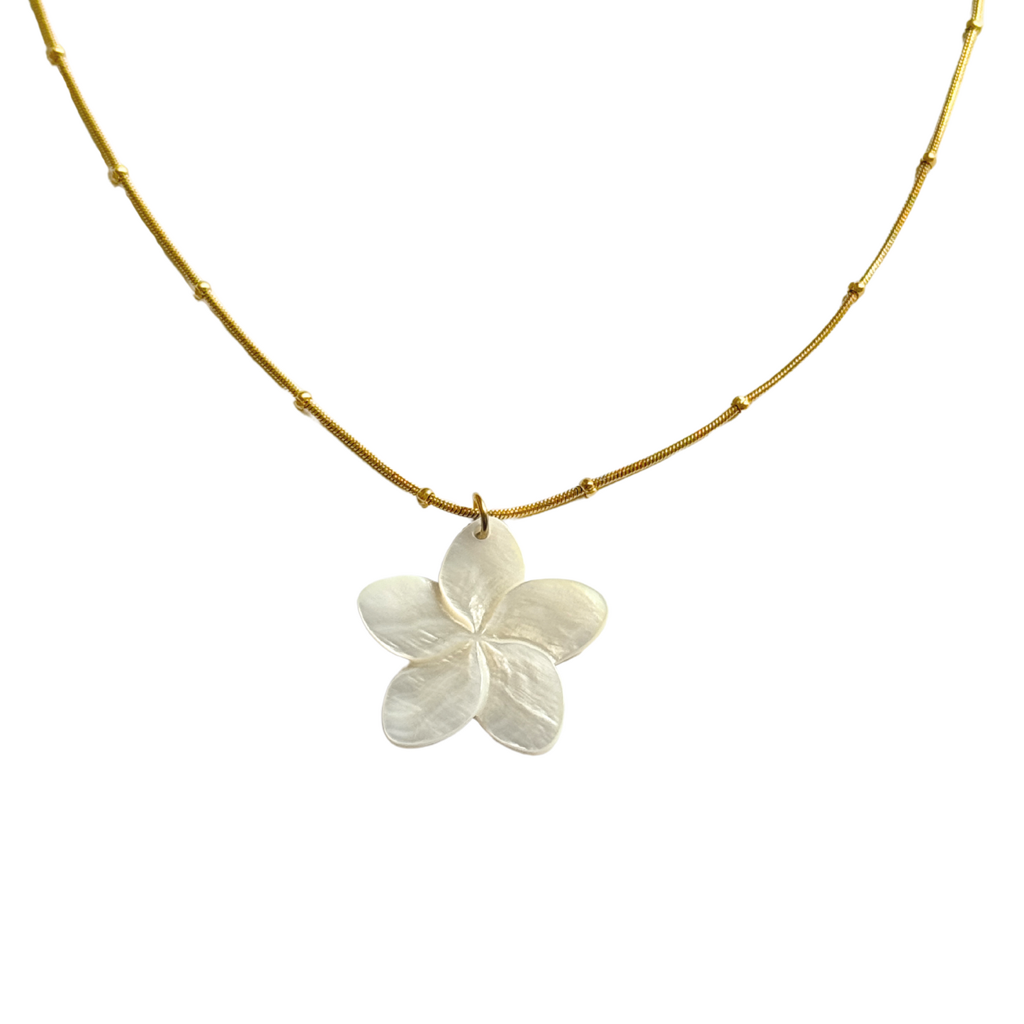 GOLDEN FLORA SEASHELL KETTE
