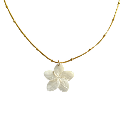 GOLDEN FLORA SEASHELL KETTE