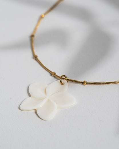 GOLDEN FLORA SEASHELL KETTE