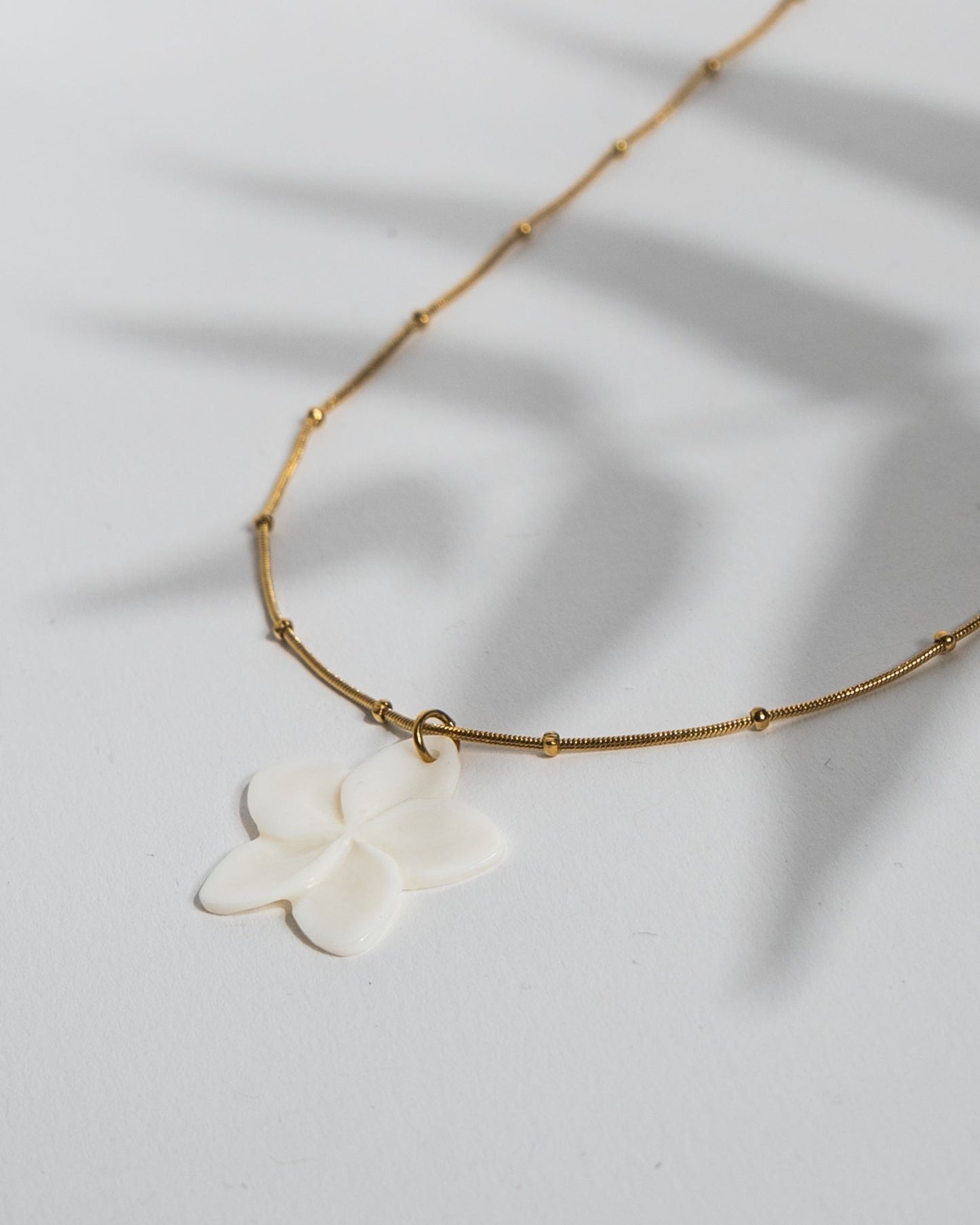 GOLDEN FLORA SEASHELL KETTE